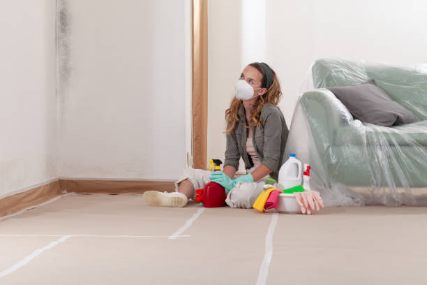 Reliable Mold Testing contractor in Oldsmar, FL by WQB Mold Removal